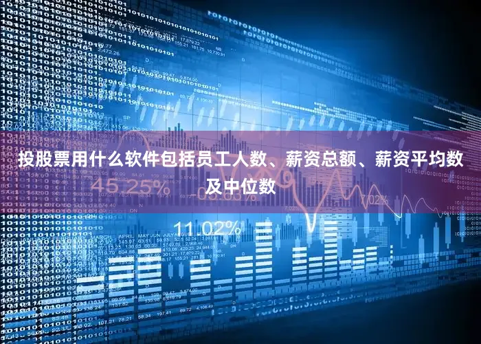 投股票用什么软件包括员工人数、薪资总额、薪资平均数及中位数