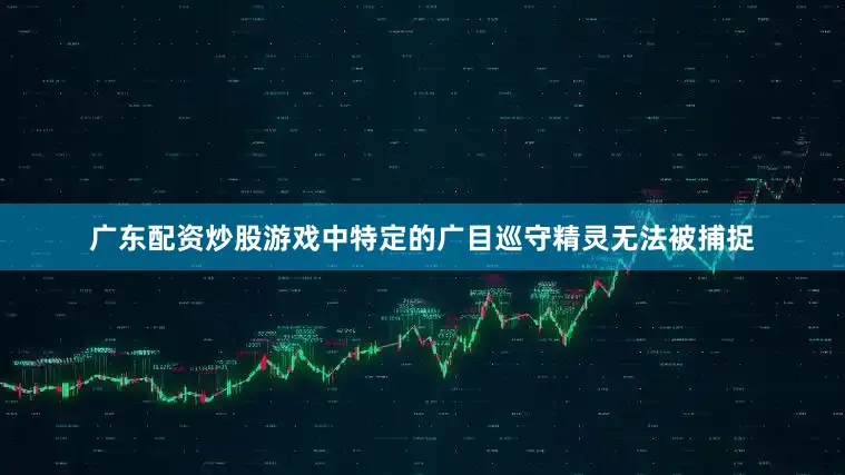 广东配资炒股游戏中特定的广目巡守精灵无法被捕捉
