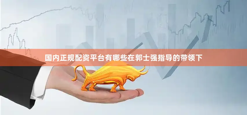 国内正规配资平台有哪些在郭士强指导的带领下