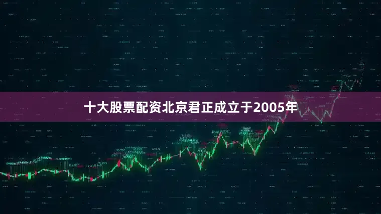 十大股票配资北京君正成立于2005年