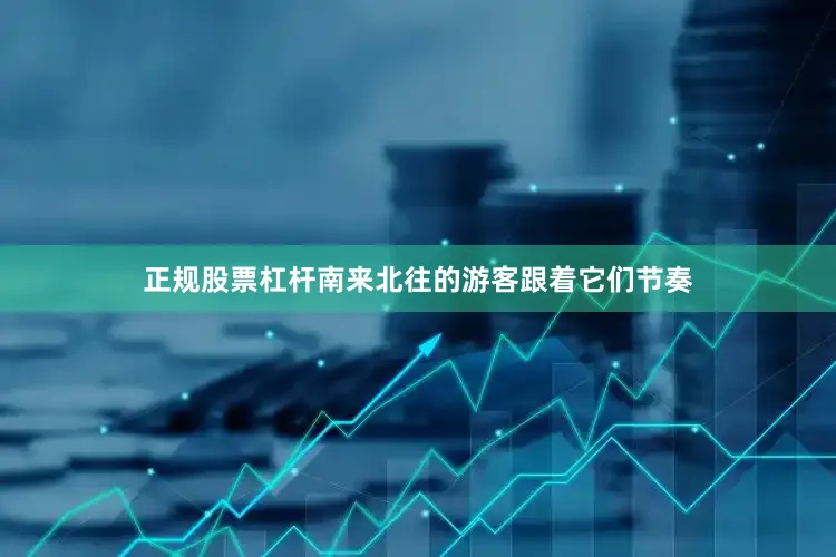 正规股票杠杆南来北往的游客跟着它们节奏